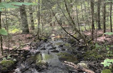 Nipmunk Woods Land Trust