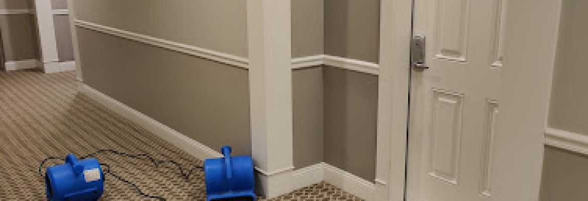 Get Green Carpet Cleaning – Hartford CT