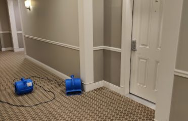 Get Green Carpet Cleaning – Hartford CT