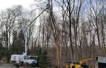 Clear Cut Tree and Lawn Care LLC