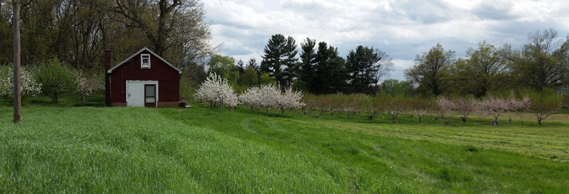 Peter Draghi Farm