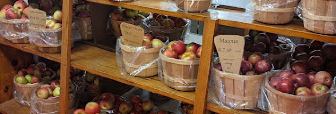 Woodstock Orchards and Bakery Barn