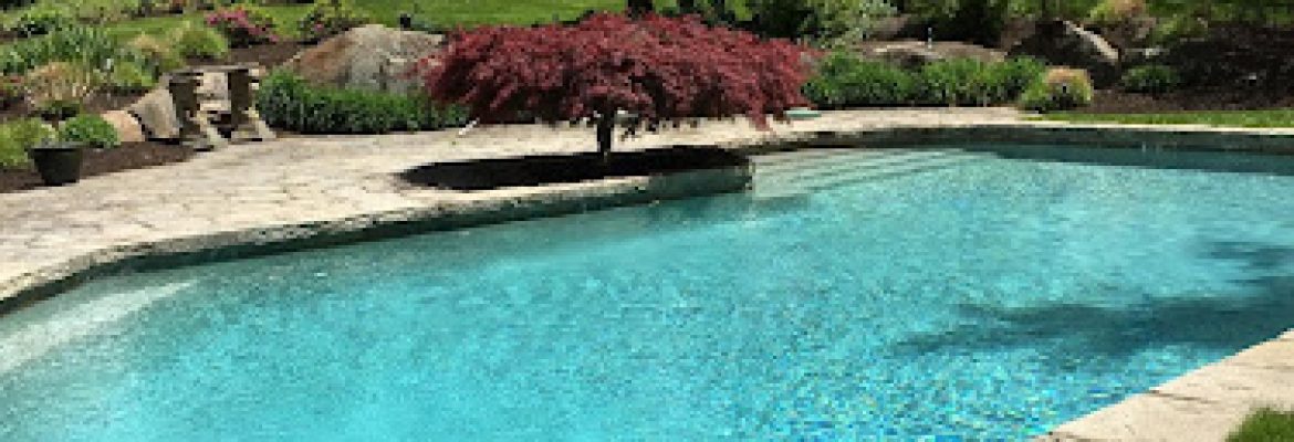 Dive In Pool Service Inc