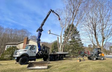 Tree Monsters Land Clearing
