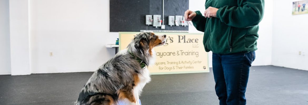 My Dog’s Place LLC