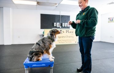 My Dog’s Place LLC
