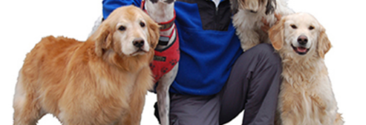 The Dog Guy Pet Containment Company