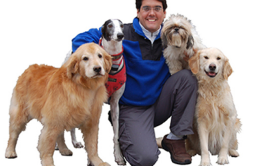 The Dog Guy Pet Containment Company