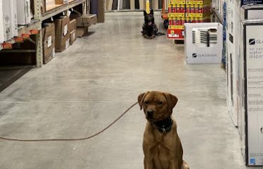 V3 Gun Dogs & Canine Academy