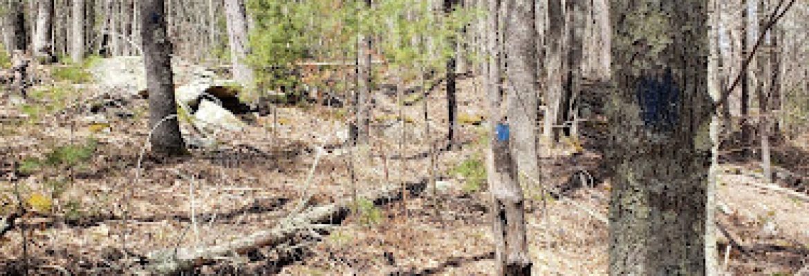 Mason Hill Conservation Area