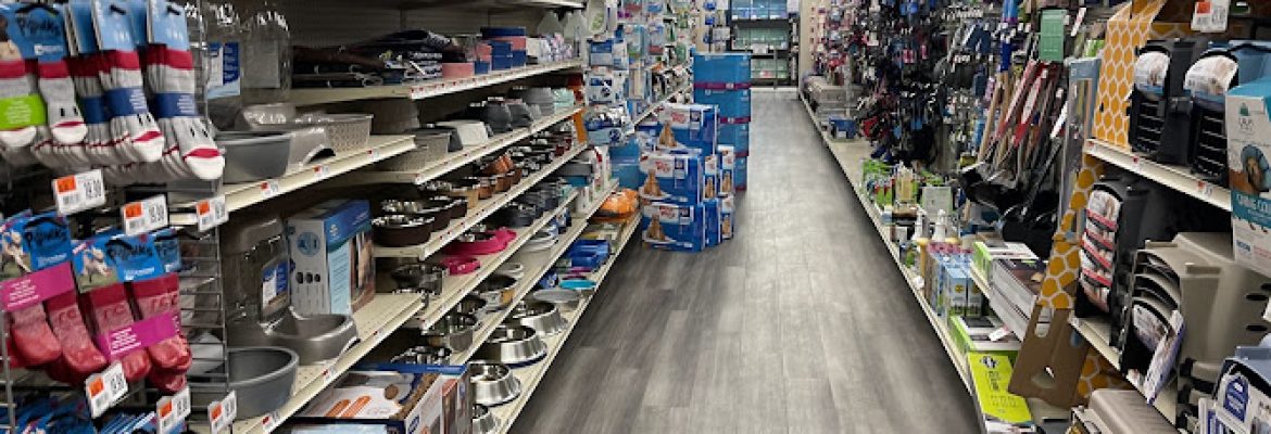 Pet Supplies Plus West Hartford