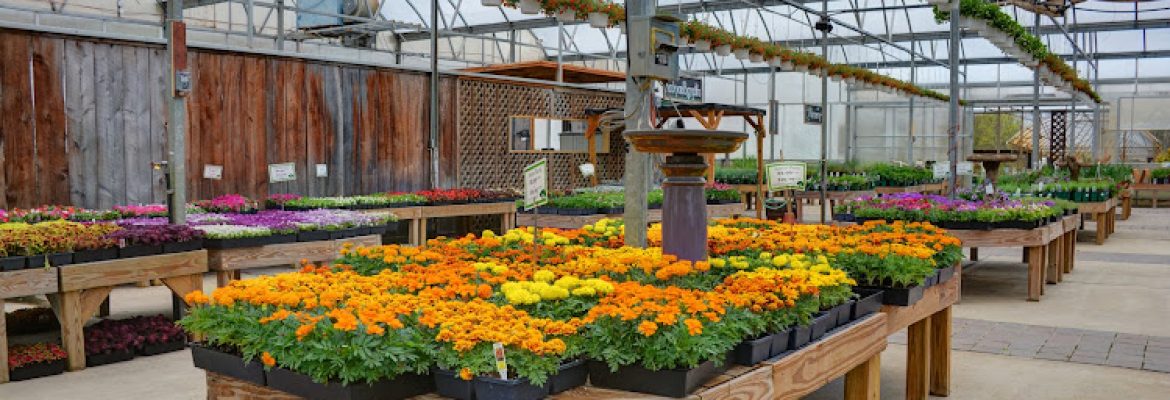 Burnett’s Country Gardens
