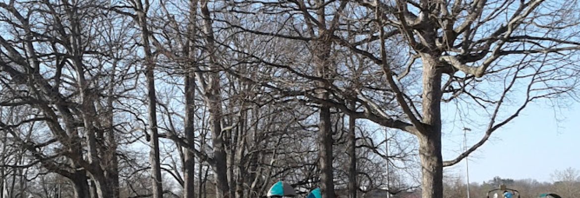 Scalzi Park