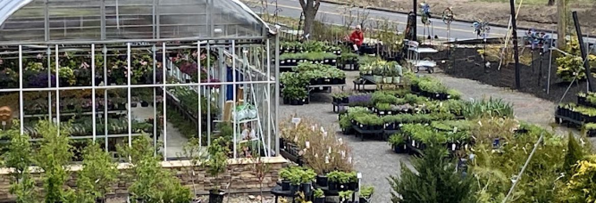 Larson’s Garden Center, LLC