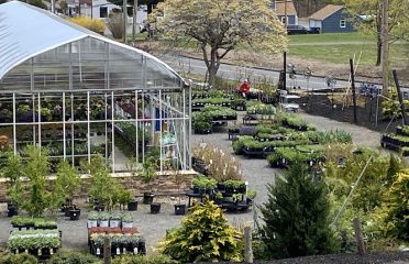Larson’s Garden Center, LLC