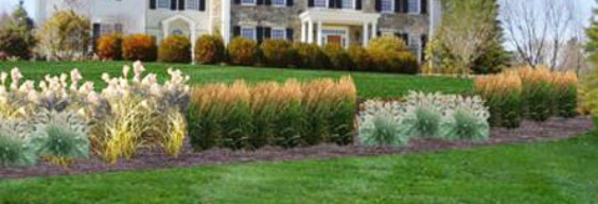 Hickory Landscaping Co