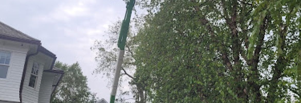 SavATree – Tree Service and Lawn Care