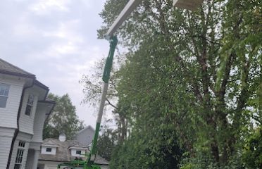 SavATree – Tree Service and Lawn Care