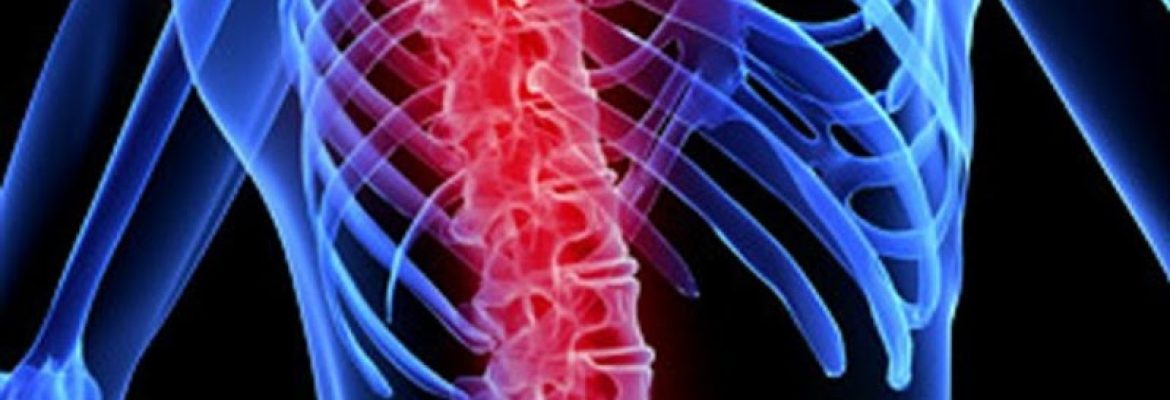Macnamara Chiropractic
