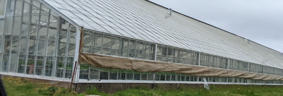 H2O Farm
