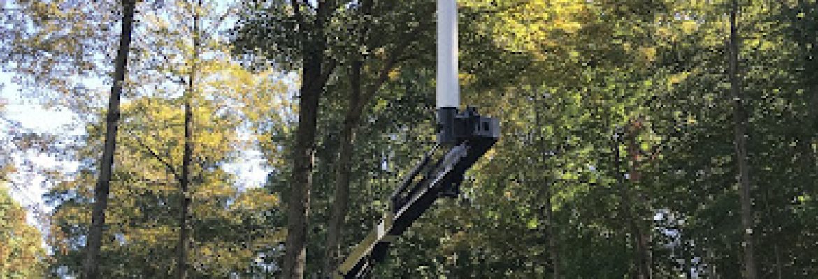 Green and Growing Tree Service