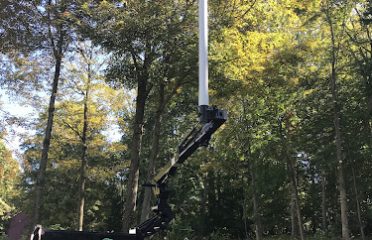 Green and Growing Tree Service