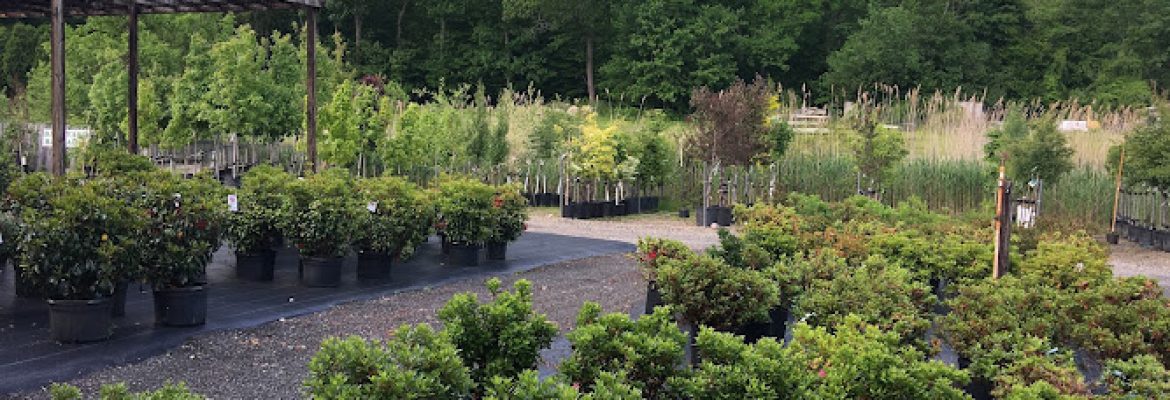 Burnett’s Country Gardens
