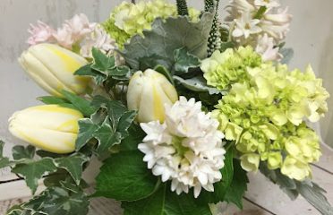 Felicia’s Fleurs