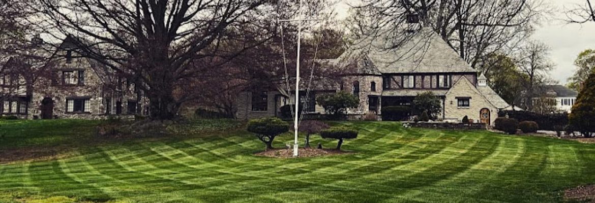 Naturescape Lawn & Landscape LLC
