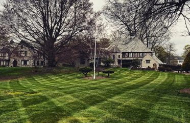 Naturescape Lawn & Landscape LLC