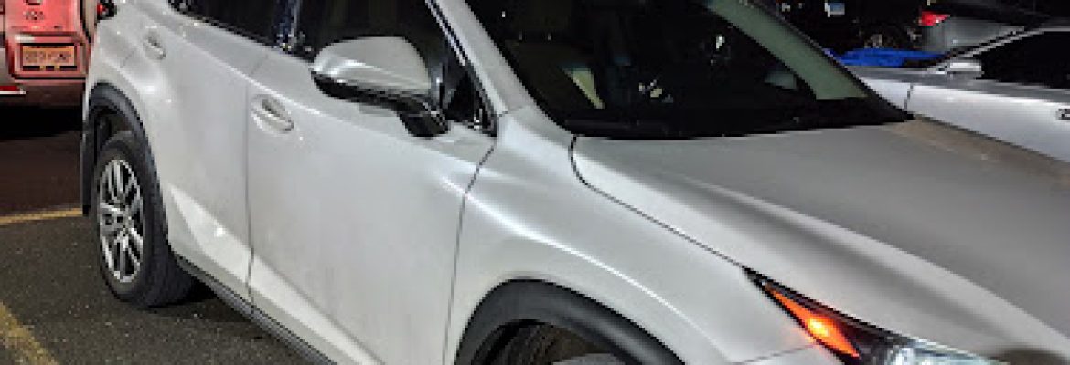 M Sport Motorwerx