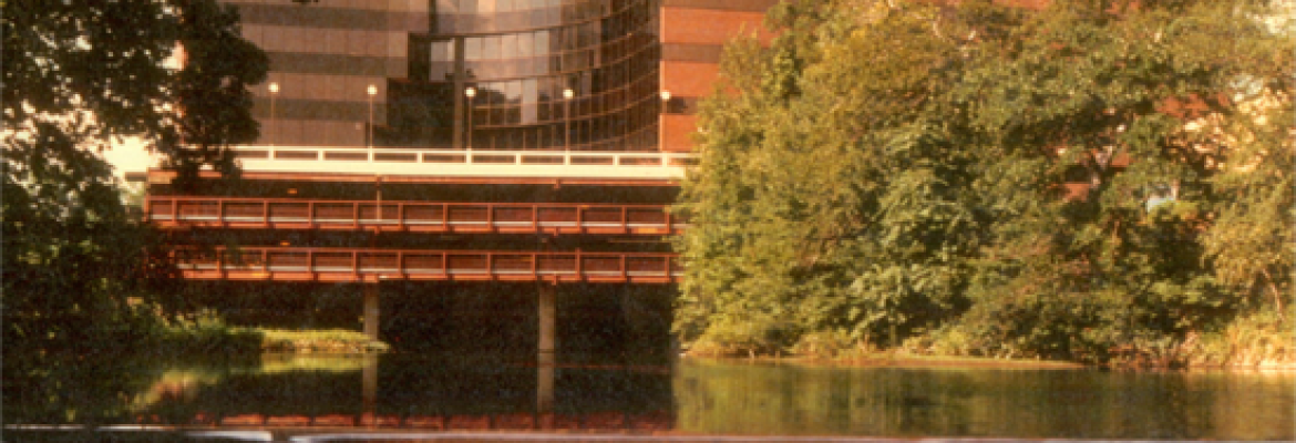 Field Brothers Commercial Properties