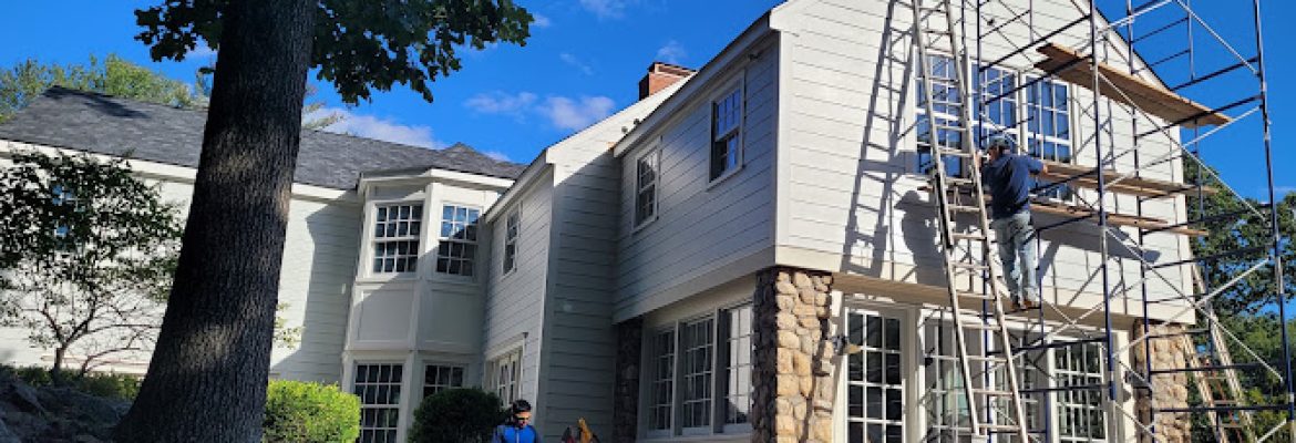 Adeo Painters & Home Improvements LLC