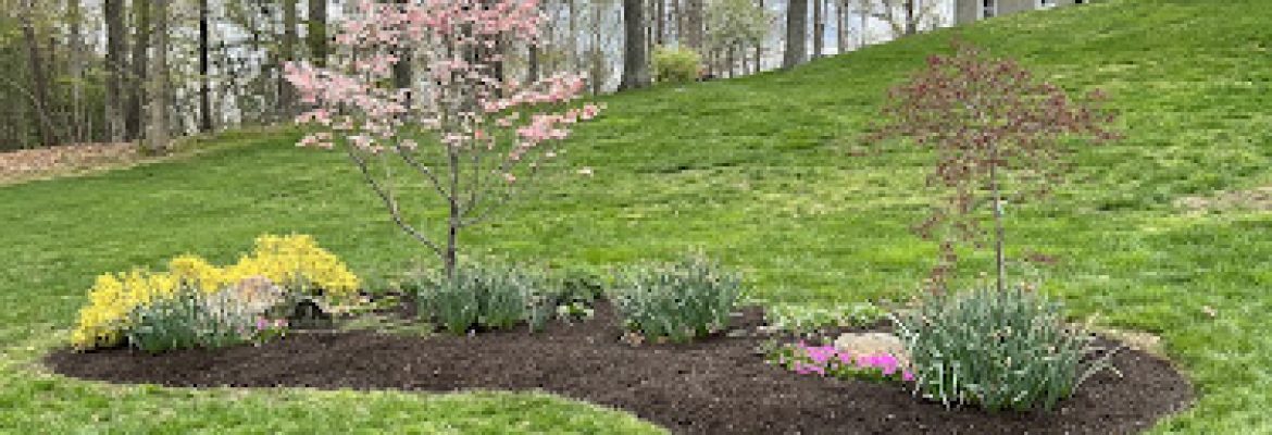 Oaxaca Landscaping LLC