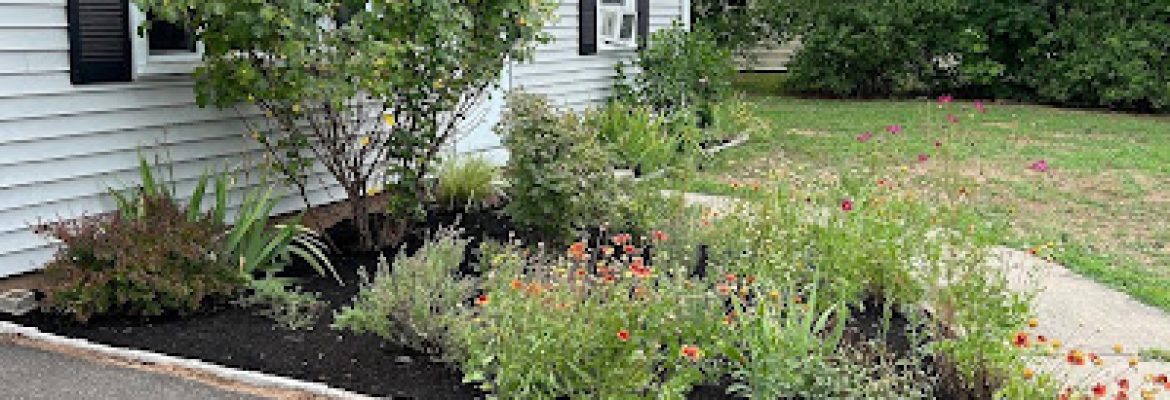 Luxury Landscaping LLC