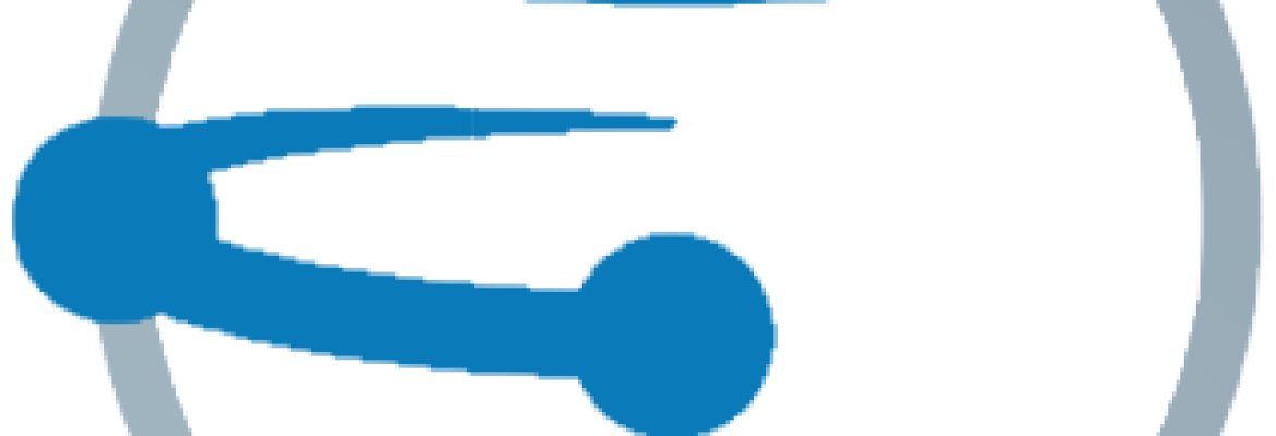 Flint Networking, LLC