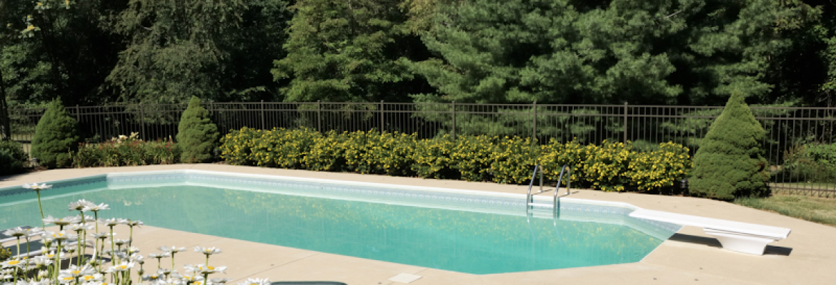 Reid’s Property Solutions, LLC