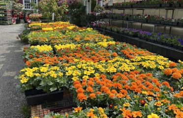 Halas Farm Market
