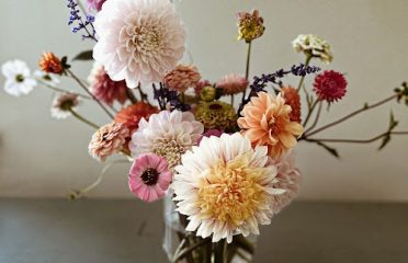 Floribunda