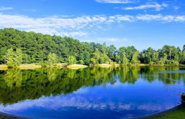 P&F Private Pond
