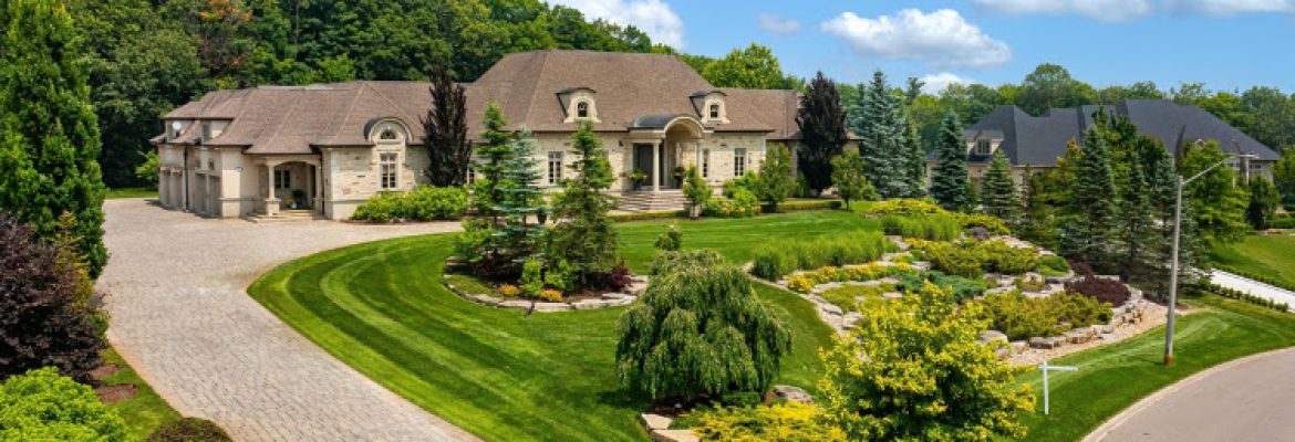 Palmer Landscapes