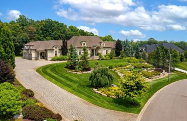 Palmer Landscapes