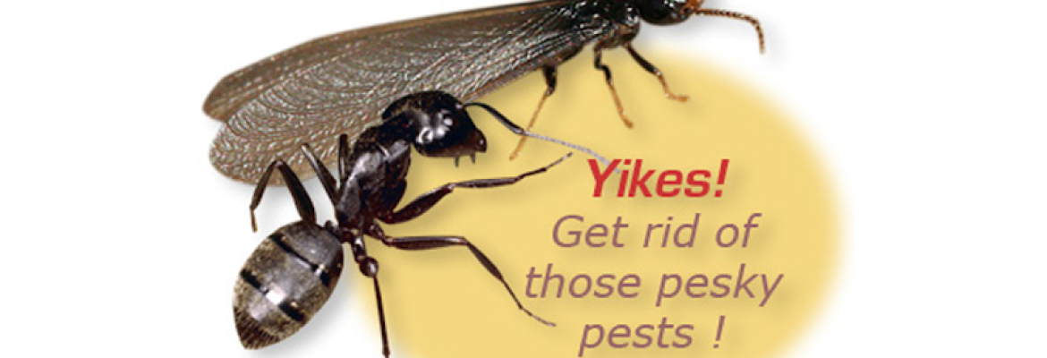 Michael’s Carpenter Ant & Termite Services, LLC