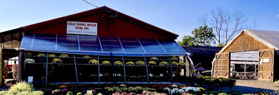 Cold Spring Brook Farm Inc