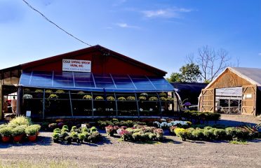 Cold Spring Brook Farm Inc