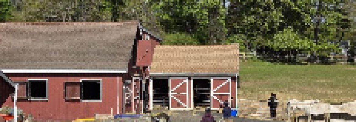CHESTER HILL FARM