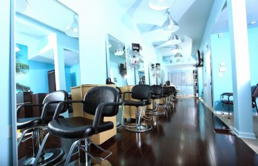 Looks Hair Design