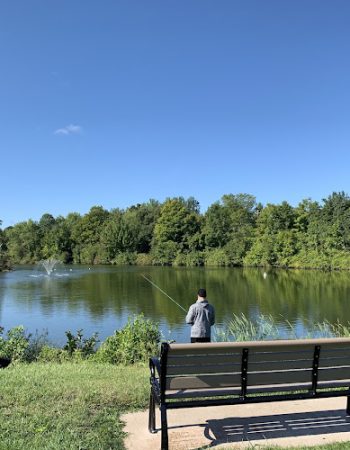 Mill Pond Park