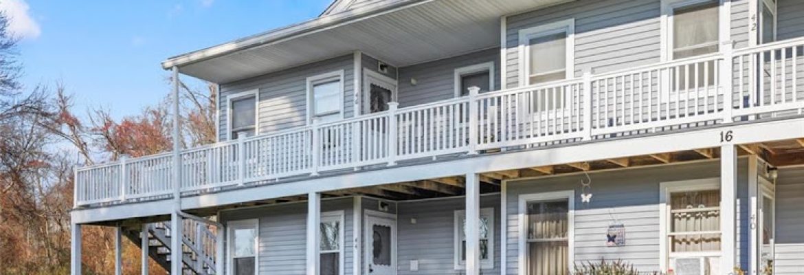 Jay Cannone Real Estate Agent – William Raveis Real Estate