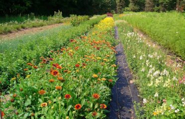 Holcomb Farm CSA Farm & Farm Store